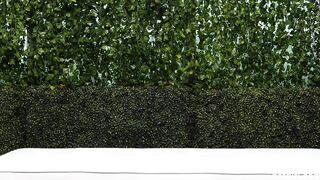 Lex Takes a Massive BBC Deep in Her Ass and Loves Every Second